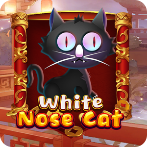 WHITE NOSE CAT